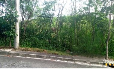 255 SQM Greenville Subdivision at Consolacion Cebu offers Cebu subdivision lot for sale