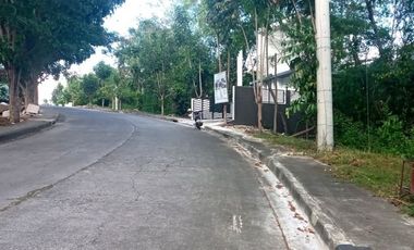 255 SQM Greenville Subdivision at Consolacion Cebu offers Cebu subdivision lot for sale