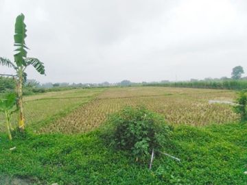 Tanah Luas 5.115 Poros Jalan Mondoroko Singosari kota Malang