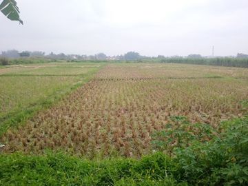 Tanah Luas 5.115 Poros Jalan Mondoroko Singosari kota Malang