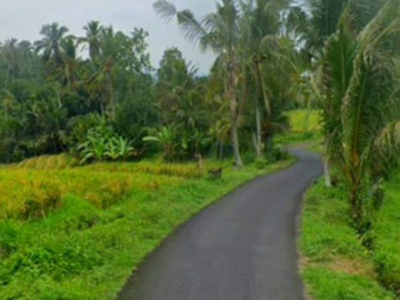 TANAH VIEW SAWAH TERASERING DI PESAGI PENEBEL TABANAN, BALI