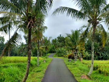 TANAH VIEW SAWAH TERASERING DI PESAGI PENEBEL TABANAN, BALI