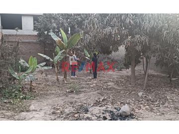 EXCELENTE INVERSION A BAJO PRECIO! 
SE VENDE TERRENO DE 283 m2 EN CONDOMINIO en la mejor zona de Chaclacayo.
Unica dueña, vende terreno con partida