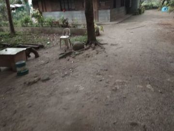 Mango Farm 1.4 Hectares Titled Land Parcels, w/2Br 1Ba Conc Farm House, Flat Terrain, Fully-fenced, Planted w/40 productive mango trees, bananas &