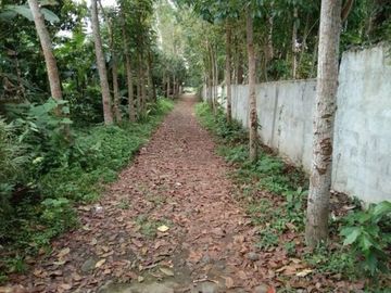 Mango Farm 1.4 Hectares Titled Land Parcels, w/2Br 1Ba Conc Farm House, Flat Terrain, Fully-fenced, Planted w/40 productive mango trees, bananas &