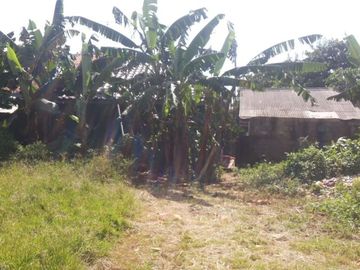 Dijual Tanah Di Kp. Pagerhaur BSD City Tangerang Lokasi Dibelakang Foresta Business Loft Signature Strategis