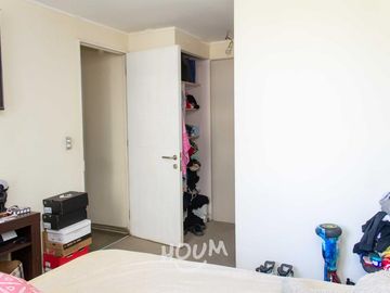 Departamento Anibal pinto oriente ID: 100600s