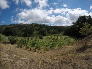 Se Vende Finca en Altos De Pacora $ 600 k AB