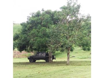 Se Vende Finca en Altos De Pacora $ 600 k AB