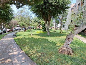 Se Vende Lindo Departamento En Un Primer Piso Con Jardín En Casuarina Baja