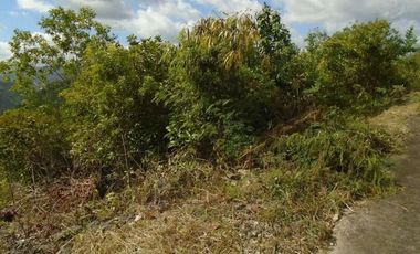 227 Sqm Overlooking Lot for Sale in Vista Grande Talisay Cebu City with Scenic Mountain Views