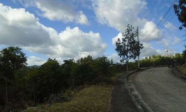 227 Sqm Overlooking Lot for Sale in Vista Grande Talisay Cebu City with Scenic Mountain Views