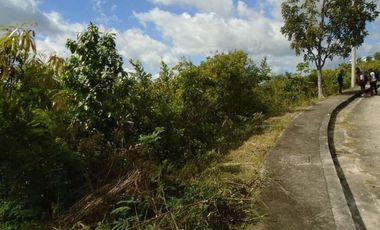 227 Sqm Overlooking Lot for Sale in Vista Grande Talisay Cebu City with Scenic Mountain Views