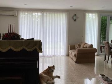 DIJUAL RUMAH BAGUS LANTAI MARMER SIAP HUNI DI SUTERA LAVENDER ALAM SUTERA