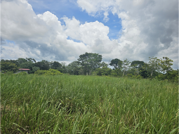 Se Venden Lotes desde 1000mt2  Panamá Oeste