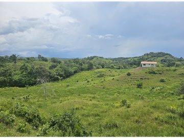 Se Venden Lotes desde 1000mt2  Panamá Oeste