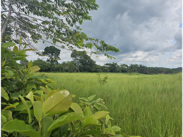 Se Venden Lotes desde 1000mt2  Panamá Oeste