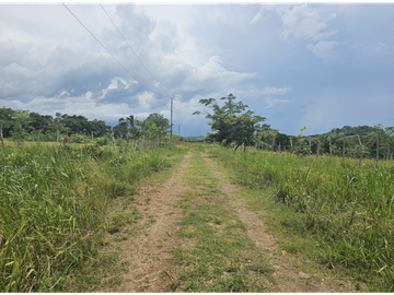 Se Venden Lotes desde 1000mt2  Panamá Oeste