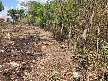 Terreno de 126 has en venta, Tizimin, Yuc., Buena Ubicación.