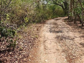 Terreno de 126 has en venta, Tizimin, Yuc., Buena Ubicación.