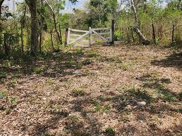 Terreno de 126 has en venta, Tizimin, Yuc., Buena Ubicación.
