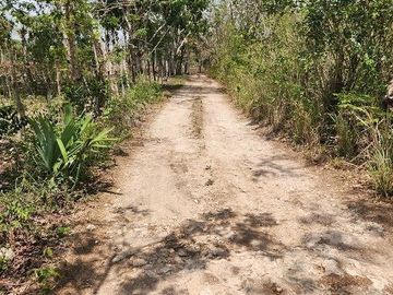 Terreno de 126 has en venta, Tizimin, Yuc., Buena Ubicación.