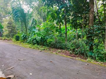 Tanah Murah Mojogedang Karanganyar
