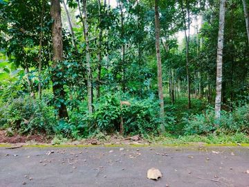 Tanah Murah Mojogedang Karanganyar