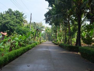 Tanah Dijual Dekat Polsek Ngombol SHM Jalan Daendels