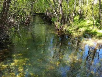 Campo en Venta en San Carlos de Bariloche