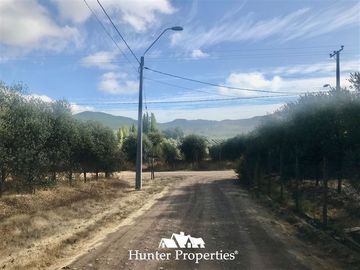 Sitio en Venta en camino pencahue sector Quepo hacia el norte
