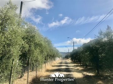 Sitio en Venta en camino pencahue sector Quepo hacia el norte