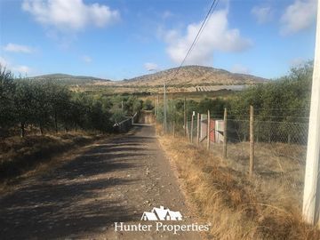 Sitio en Venta en camino pencahue sector Quepo hacia el norte