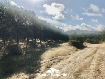 Sitio en Venta en camino pencahue sector Quepo hacia el norte