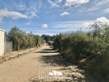 Sitio en Venta en camino pencahue sector Quepo hacia el norte