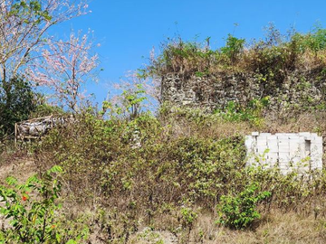 TANAH SIAP BANGUN OCEAN VIEW 1,64 HA DI BLIMBING SARI PECATU BADUNG, BALI