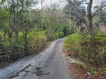 TANAH SIAP BANGUN OCEAN VIEW 1,64 HA DI BLIMBING SARI PECATU BADUNG, BALI