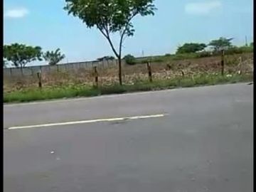Dijual Tanah Di Widang Tuban TD