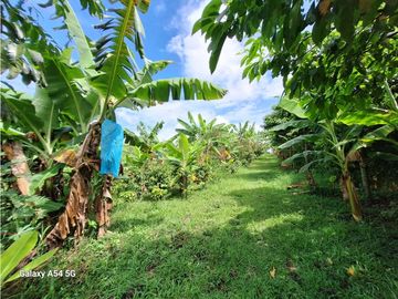 Venta Finca Montenegro Quindio COD: 7009206