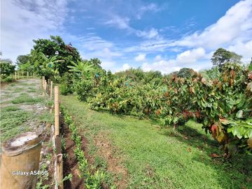 Venta Finca Montenegro Quindio COD: 7009206