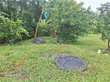 Venta Finca Montenegro Quindio COD: 7009206