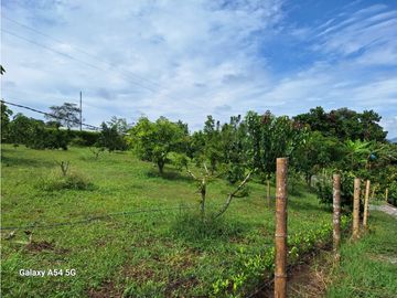 Venta Finca Montenegro Quindio COD: 7009206
