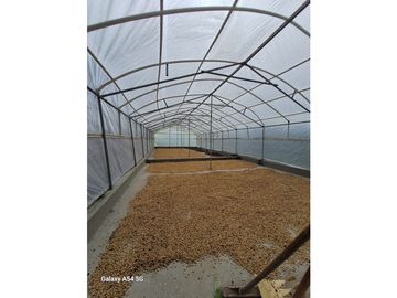 Venta Finca Montenegro Quindio COD: 7009206