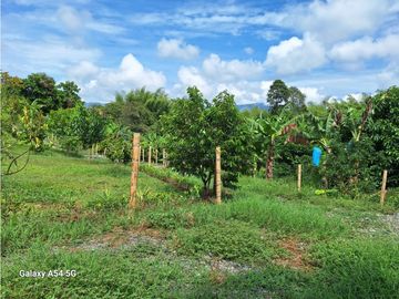 Venta Finca Montenegro Quindio COD: 7009206