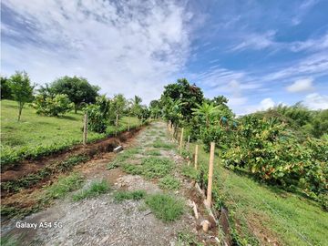 Venta Finca Montenegro Quindio COD: 7009206