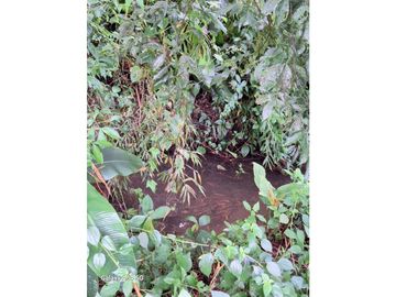 Venta Finca Montenegro Quindio COD: 7009206
