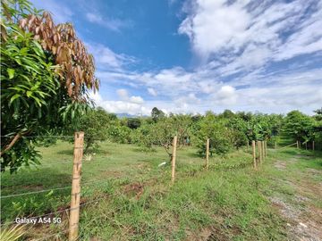Venta Finca Montenegro Quindio COD: 7009206