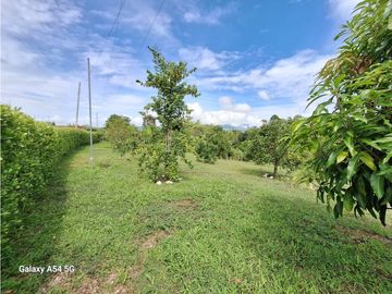 Venta Finca Montenegro Quindio COD: 7009206