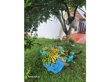 Venta Finca Montenegro Quindio COD: 7009206