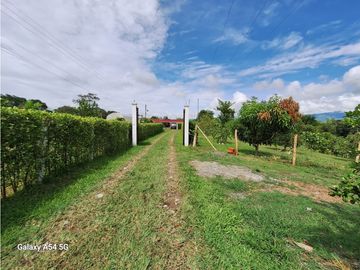 Venta Finca Montenegro Quindio COD: 7009206